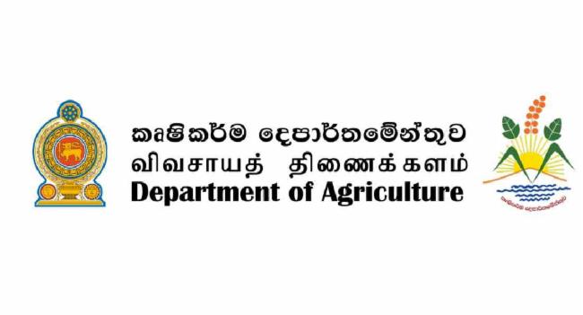 'දිට්වා' වගා හානි වෙනුවෙන් මිලියන 800ක් ගෙවා අවසන්